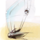 Illustration for article titled Aeolus Airship Concept Can Stay Aloft for Two Weeks